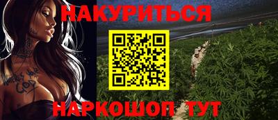 прущие грибы Апшеронск