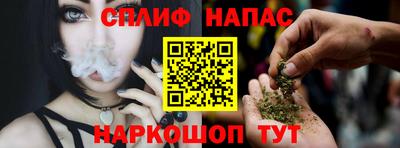 прущие грибы Апшеронск